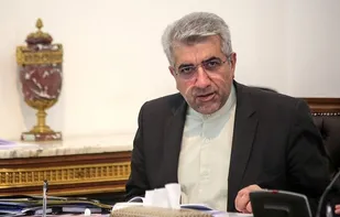 وزیرنیرو: همکاری اقتصادی ایران و افغانستان لازمه امنیت منطقه&zwnj; است