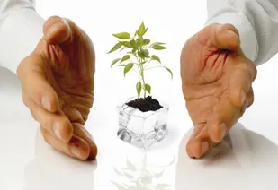 تیشه بر ریشه کشاورزی پایدار در کبودراهنگ
