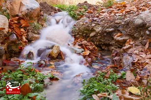 طبیعت پاییزی روستایی در قم