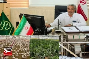 جهش تولیدبا مشارکت مردم در بخش کشاورزی  سیب و سوران شتاب گرفت