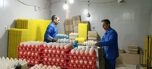 قلب تپنده دام و طیور با اشتغال ۳ هزار نفری
