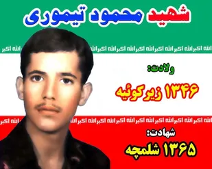 مادر شهید محمود تیموری آسمانی شد