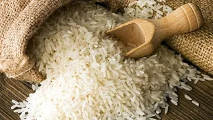 واردات برنج ممنوع شد