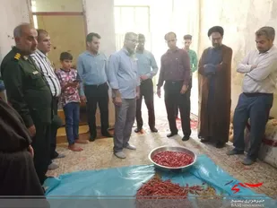 بازدید مسئول قرارگاه اشتغالزایی سپاه از کارگاههای زود بازده تنگستان