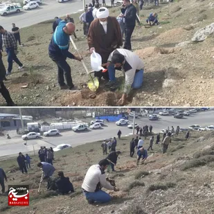 کاشت نهال به نیت حاج قاسم