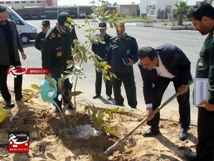 کاشت نهال با مشارکت سپاه استان بوشهر
