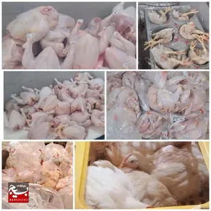 اردوی جهادی&zwnj; فرهنگیان بسیجی درشوشتر