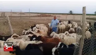 اشتغال آفرینی باتلاش خانواده روستایی درهندیجان