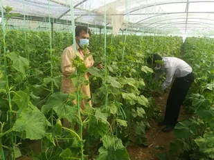 بهره برداری از ۵ پروژه عمرانی، کشاورزی و فرهنگی در شهرستان ری