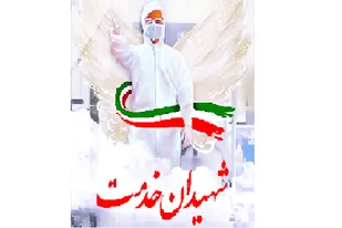شهیدی دیگر در راه دفاع از سلامت در فارس تقدیم شد