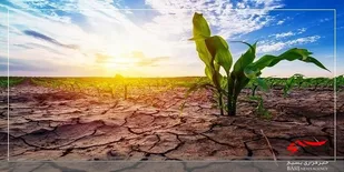 بیله سوار گرفتار بحران خشکسالی است