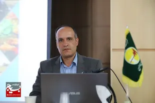 رشد ۲.۴۸ درصدی تعداد مشترکین برق در همدان