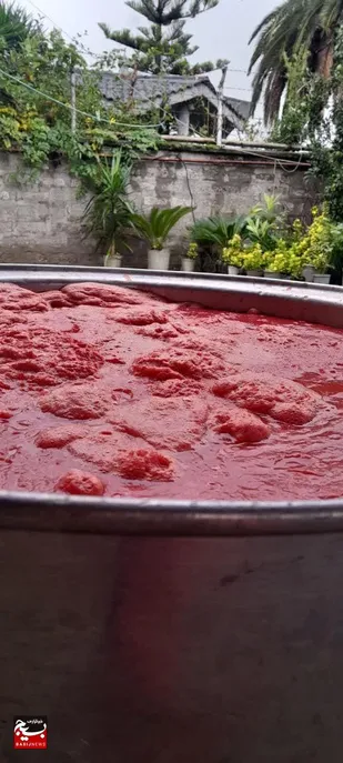 مثبت سوژه/ اهدای درآمد فروش رب خانگی به جبهه مقاومت