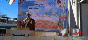 برگزاری یادواره شهید در سربیشه