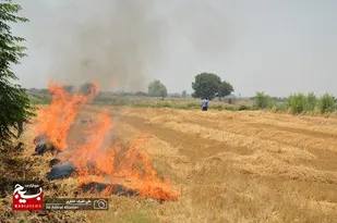 کشاورزان  طبیعت را تخریب کرده و اکوسیستم را بر هم زده اند