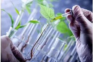 نخستین آزمایشگاه آب و خاک جنوب خراسان رضوی در تربت حیدریه به بهره برداری رسید