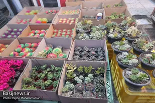 حال و هوای شهر همدان در آستانه نوروز ۱۴۰۰