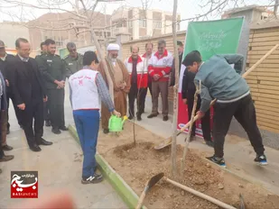 نواختن زنگ طبیعت و غرس نهال در شاهرود+ تصاویر