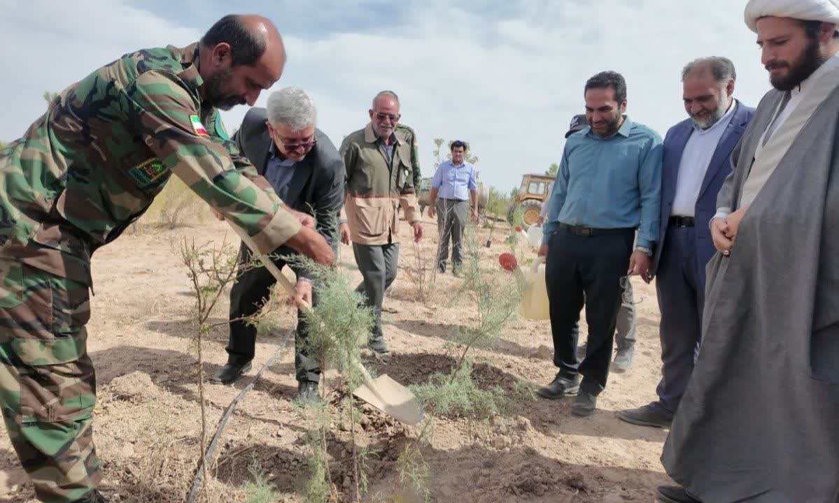 پویش نهال‌کاری به مناسبت روز ملی روستا و عشایر در روستای علا برگزار شد