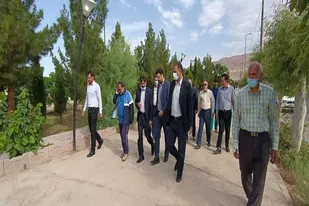همایش پیاده روی کارکنان ادارات آرادان برگزار شد