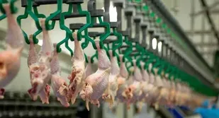 صدور مجوز اجرای طرح&zwnj;های صنعتی کشاورزی در شوشتر