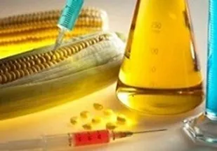 خطرات محصولات تراریخته در انتظار نسل آینده است