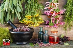 تولید ۲۶ مدل عرقیات گیاهی با همکاری مردم بومی در نوشهر