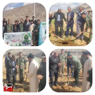 کاشت ۲۵۰ نهال در طرح پویش ملی مردمی سردار دلها