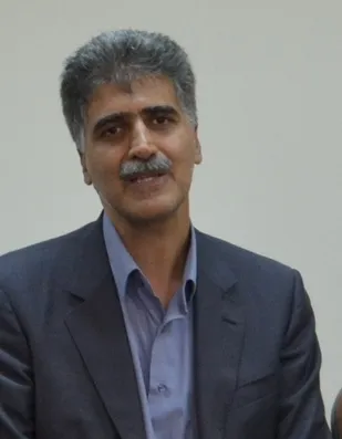 از هر ۵ ایرانی یک نفر مبتلا به افسردگی است /۳۰۰ میلیون نفر در دنیا مبتلا به افسردگی