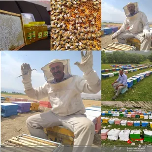 ایجاد ۲۲۹ شغل توسط بسیج سازندگی لرستان