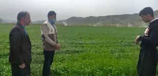 طرح ۷ ساله بسیج جامعه کشاورزی، ارتقای بهره&zwnj;وری در محصولات راهبردی با هدف امنیت غذایی است