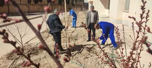 برگزاری مراسم درختکاری در شرکت پخش فرآورده&zwnj;های نفتی منطقه شاهرود