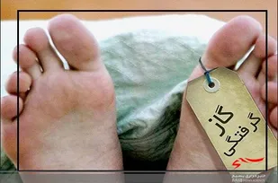 فوت یک نفر بر اثر گاز گرفتگی در شهرستان نیر