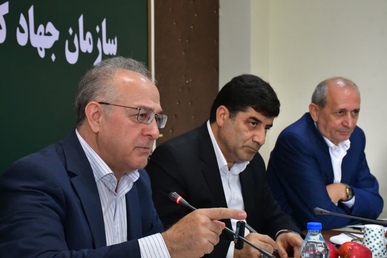 همه بانک‌ها باید در تأمین مالی بخش کشاورزی مشارکت کنند