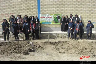 کاشت درخت به&zwnj;همت بسیجیان حوزه شهیده گروسیان همدان