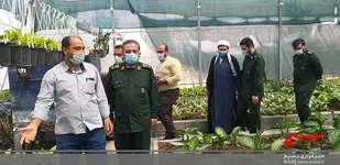 ایجاد ۲۶۰ هزار فرصت شغلی توسط بسیج در کشور / پشتیبانی بسیج از طرح های اقتصاد مقاومتی