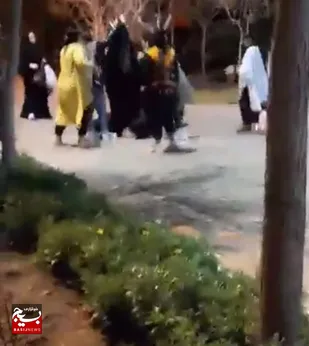 چند هتاک به یک بانوی محجبه در قم شناسایی و دستگیر شدند