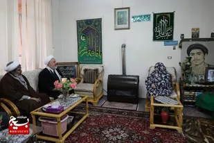 حجت&zwnj;الاسلام مهدوی با مادر طلبه شهید سید علیرضا علوی دیدار کرد