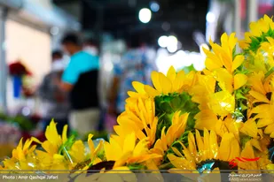 گزارش تصویری/بیا تا گل برافشانیم