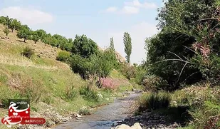 روستای صنوبر نگین سرسبز تربت حیدریه و مقصد گردشگران نوروزی