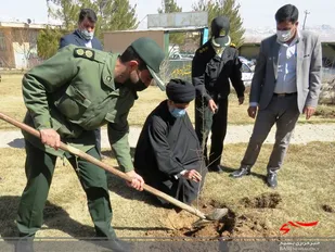 کاشت 24 اصله نهال در ناحیه چادگان