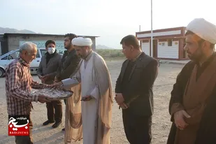 پیاده&zwnj;روی باشکوه مردم تنگستان همزمان با شهادت حضرت فاطمه(س)