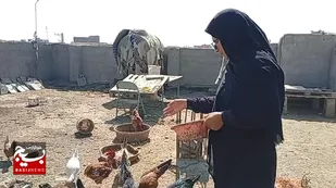 از سه جوجه تا مزرعه؛ داستان همت یک زن زاهدانی