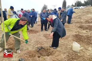 کاشت ۲ هزار اصله نهال به مناسبت روز درختکاری و منابع طبیعی در نهاوند