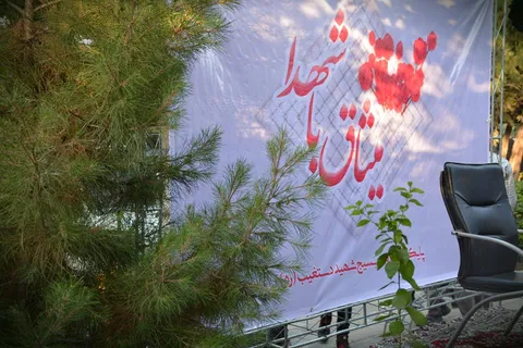 دورهمی 