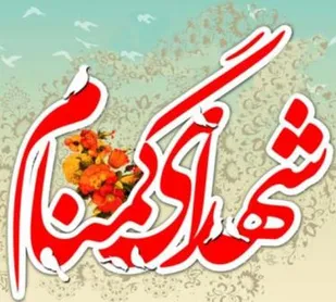 تشییع پیکر مطهر شهدای گمنام در شهرکرد