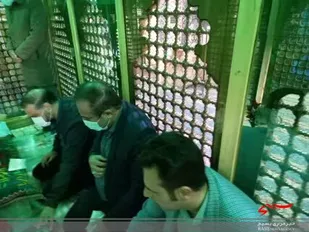 غبارروبی ضریح مطهر امامزادگان شهرکرد