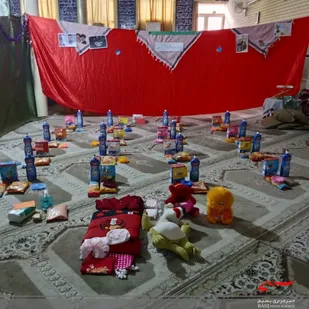 ۸۵ بسته گوشت قرمز و ۳۰ بسته معیشتی بین نیازمندان توزیع شد