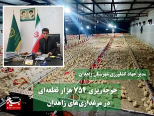 جوجه&zwnj;ریزی ۷۵۴ هزار قطعه&zwnj;ای در مرغداری&zwnj;های زاهدان&nbsp;
