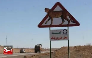 سرعت خودرو&zwnj;های عبوری از جاده میامی-عباس&zwnj;آباد ۹۰ کیلومتر است